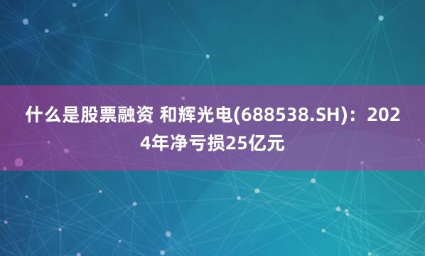 什么是股票融资 和辉光电(688538.SH)：2024年净亏损25亿元