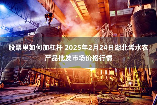 股票里如何加杠杆 2025年2月24日湖北浠水农产品批发市场价格行情