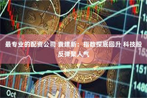 最专业的配资公司 袁建新：指数探底回升 科技股反弹聚人气